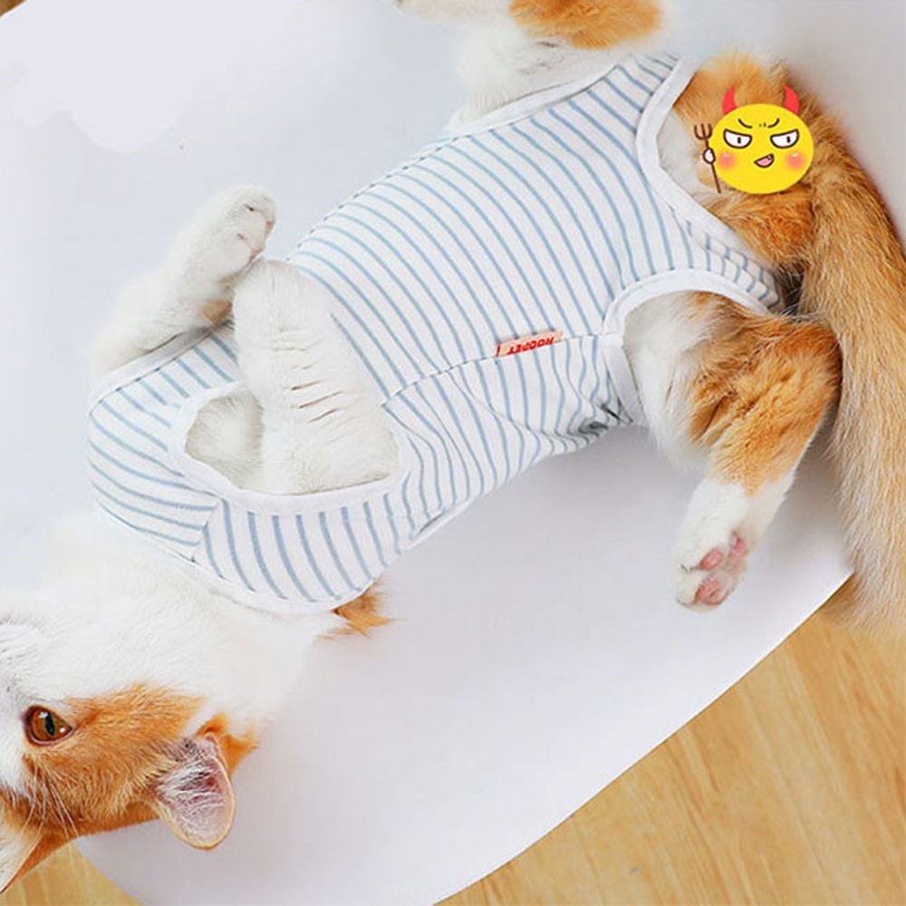 켈리몰 강아지 고양이 스프라이트 중성화복 수술복 S - 상품 이미지