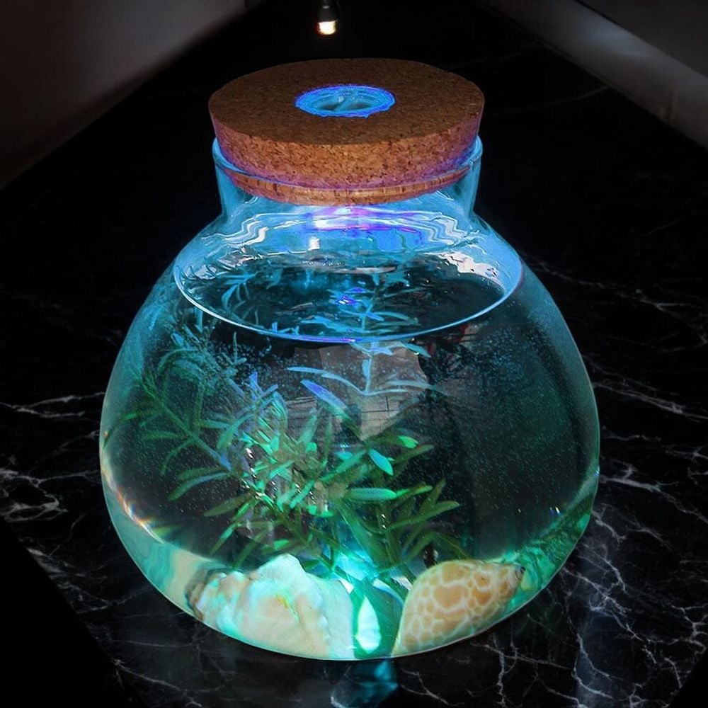 게더릭 마리모 키우기 LED 코르크 유리병 (15x16cm) - 메인 이미지