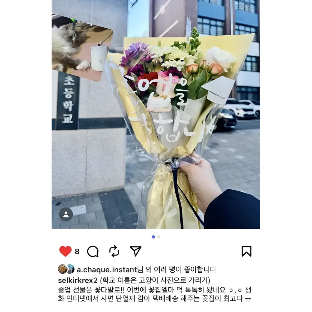졸업식 꽃다발 생화 감성 포장 꽃다발 사진보다 예쁜 꽃집엘마