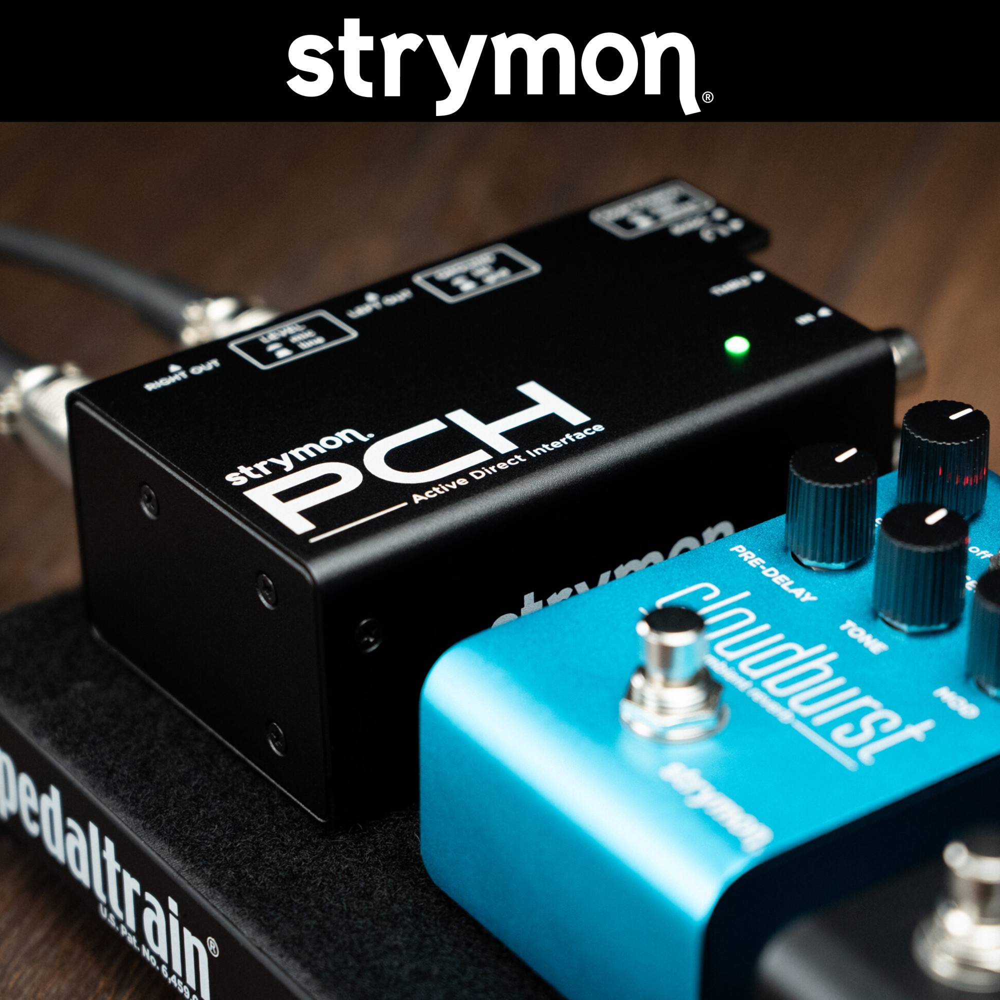 Strymon PCH DI BOX 스트라이몬 액티브 다이렉트 인터페이스 헤드폰앰프 내장 이미지 7