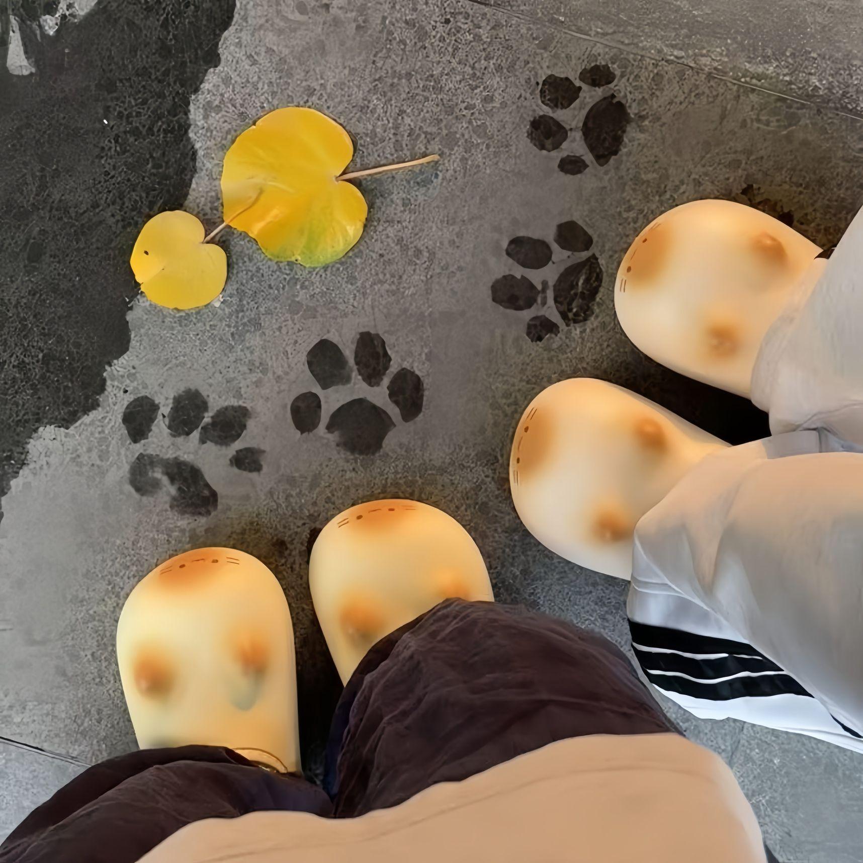고양이 발자국 겨울 신발 퍼 - 메인 이미지