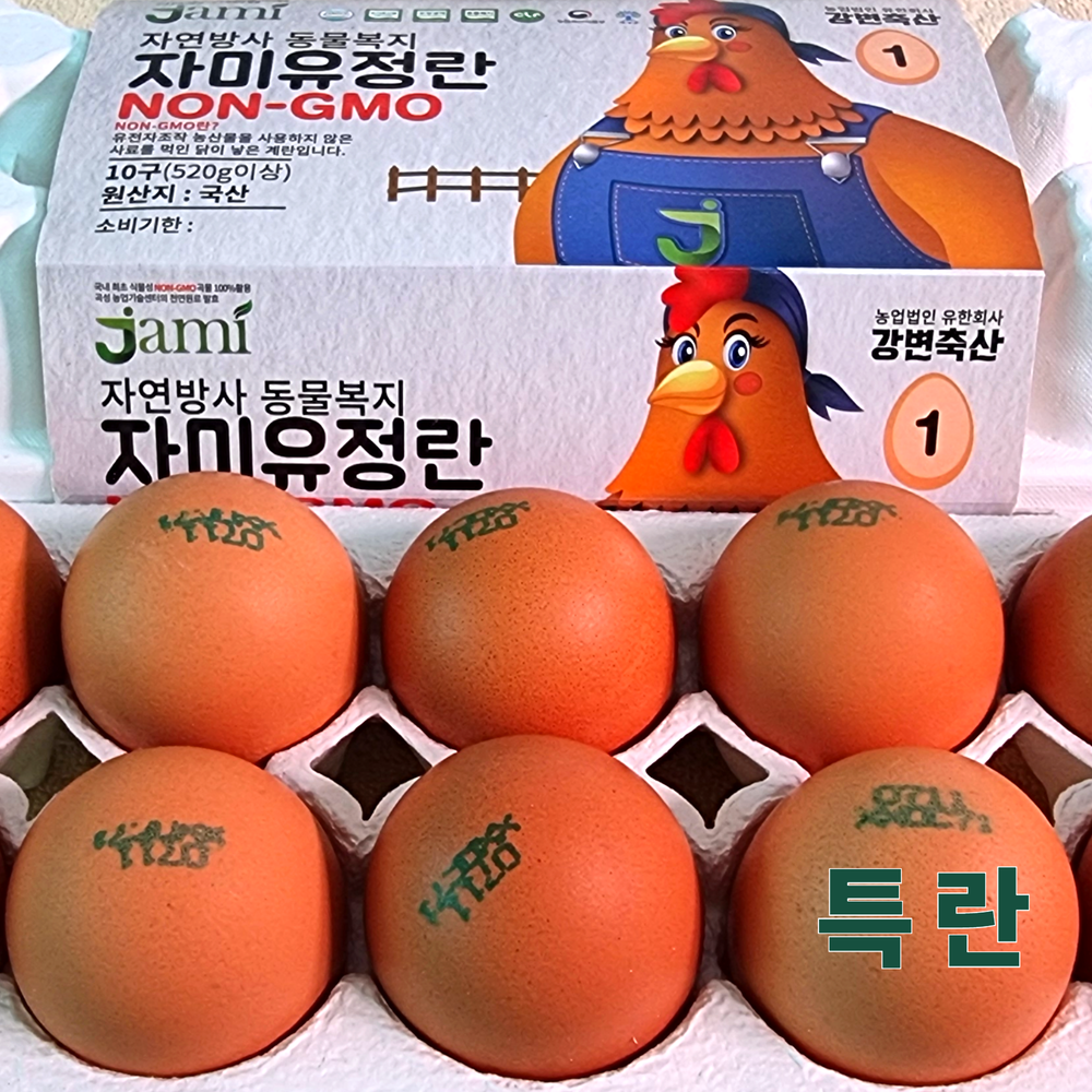 산들프레시 / 강변축산 자미유정란 [ 특란 ] 동물복지 난각번호1번 10구, 1개 - 상품 이미지