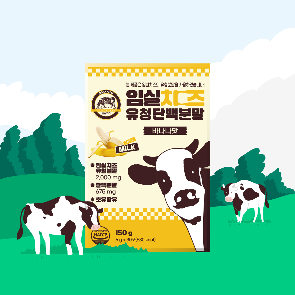 임실치즈 유청단백 치즈종류 분말 바나나맛 30포 이미지 8