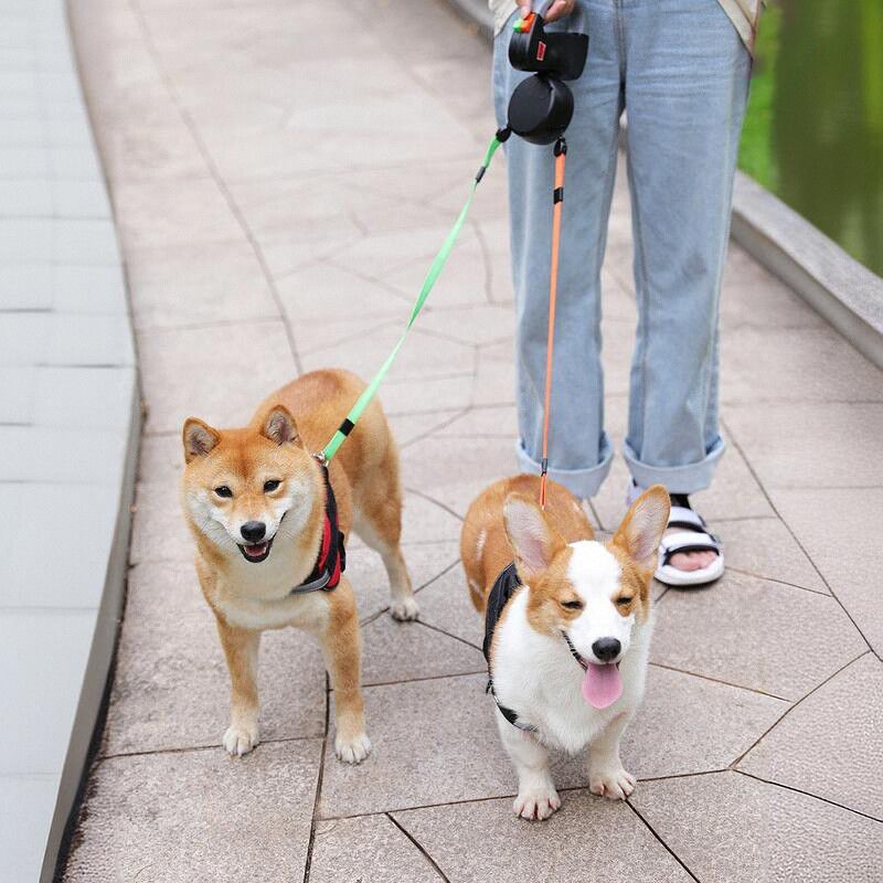 강아지 리드줄 2줄 자동 반려견 중형견 산책 산책줄 애견 - 메인 이미지
