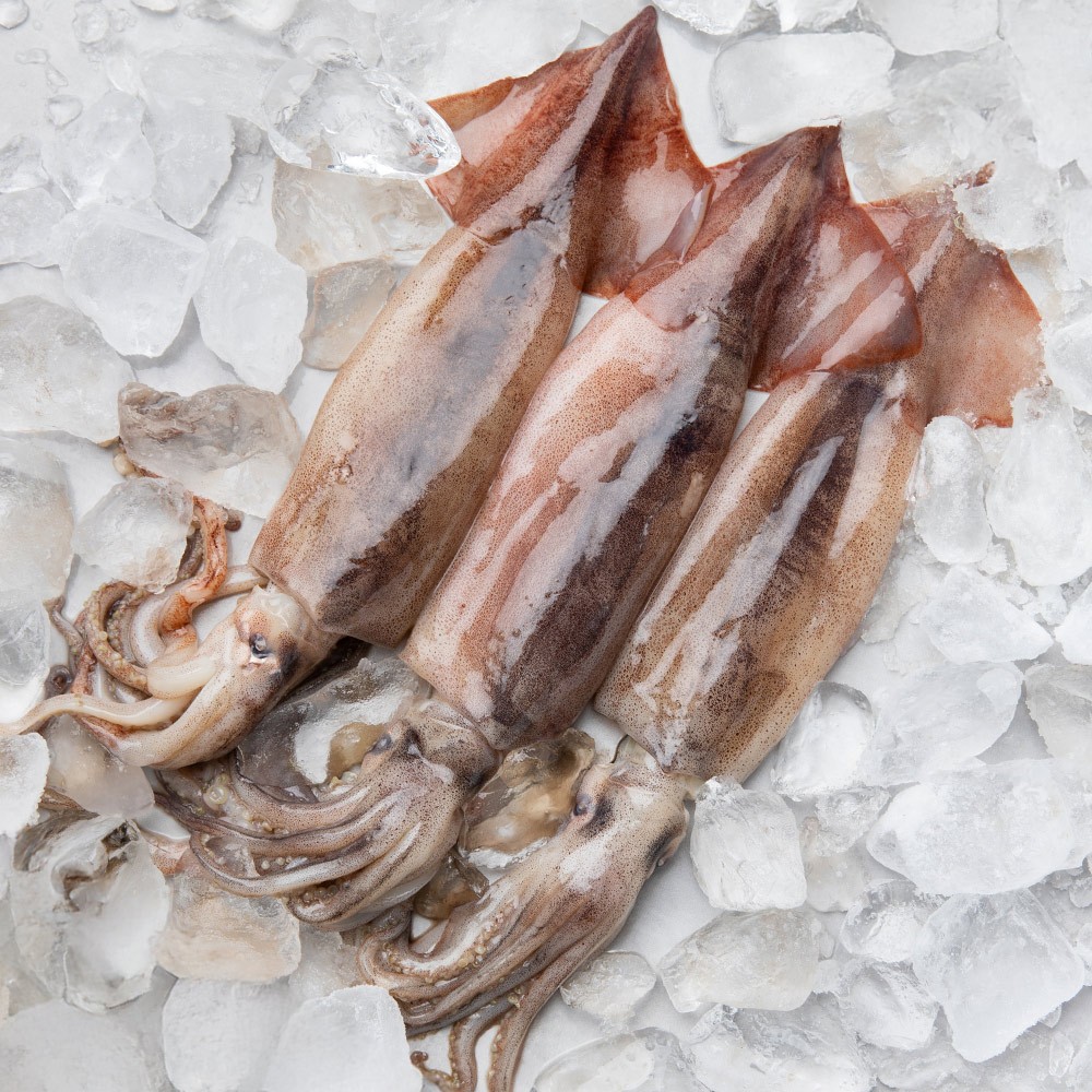 퍼스트프레시 국내산 생물 급냉 통찜용 오징어 7~8미 1kg, 1개 - 상품 이미지