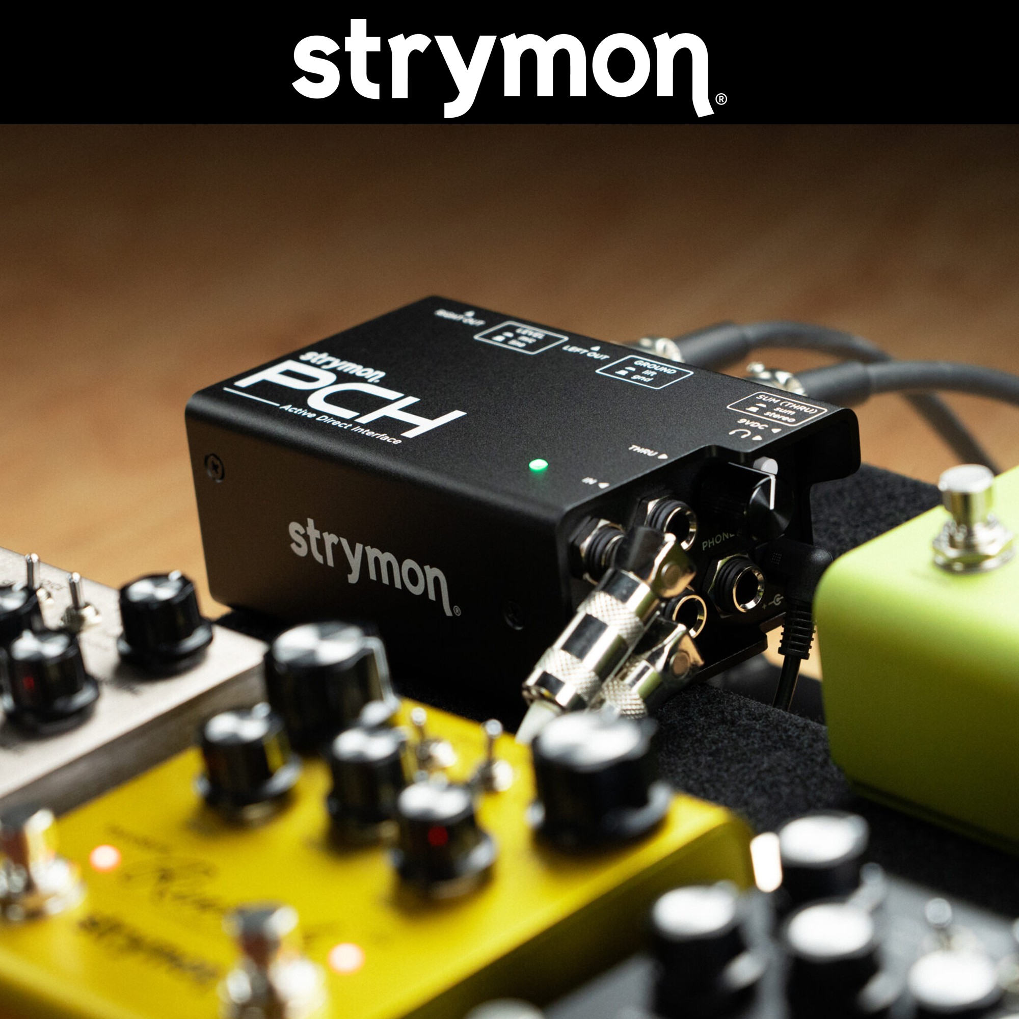 Strymon PCH DI BOX 스트라이몬 액티브 다이렉트 인터페이스 헤드폰앰프 내장 이미지 8