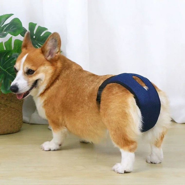 기저귀 강아지 통기성 생리 바지 조절가능 팬티 메쉬 강아지용품 - 상품 이미지