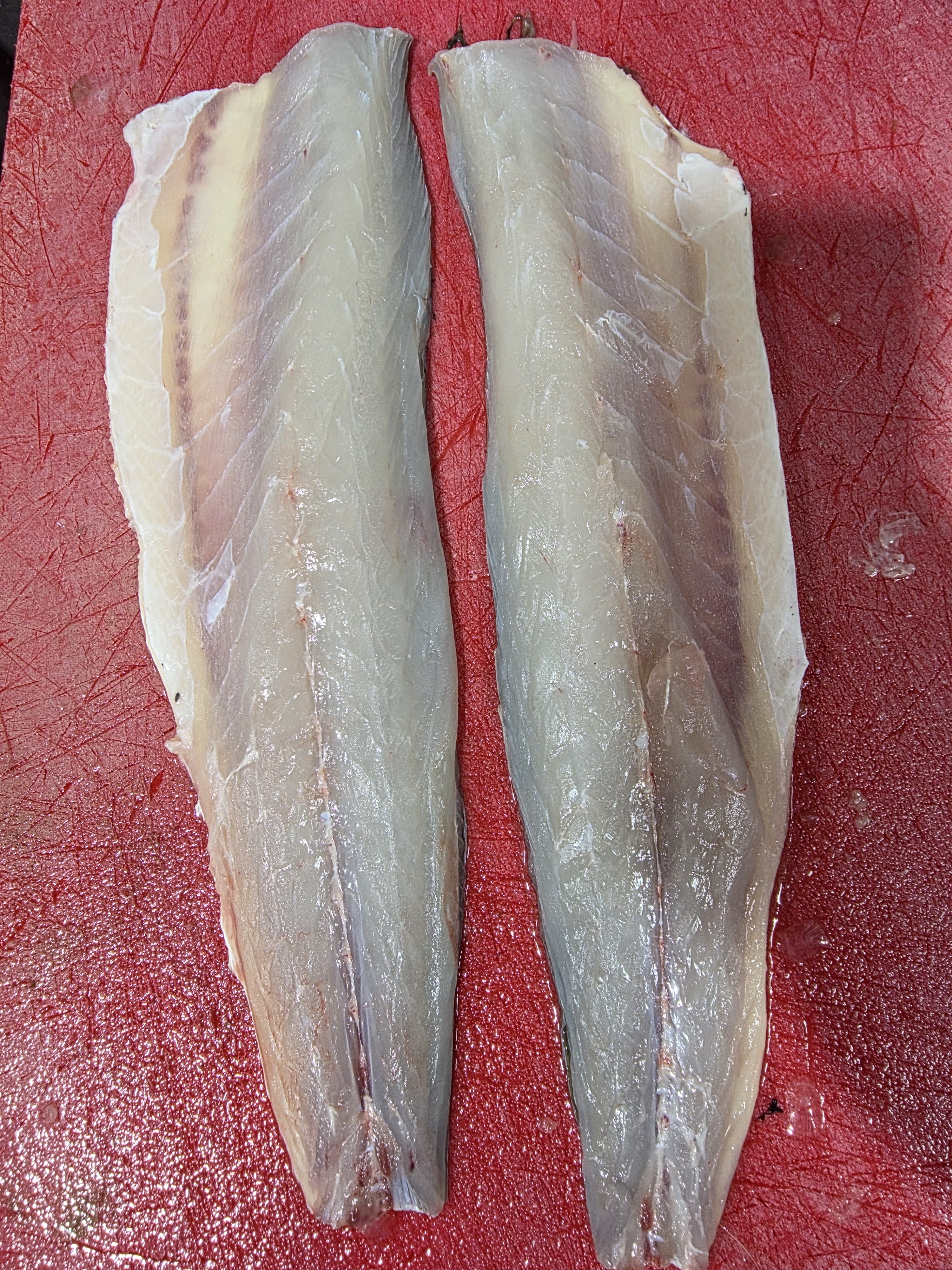 밀치회 숭어회 참숭어 숭어필렛 가숭어 필렛 밀치 밤 원물 300g - 상세 이미지 3