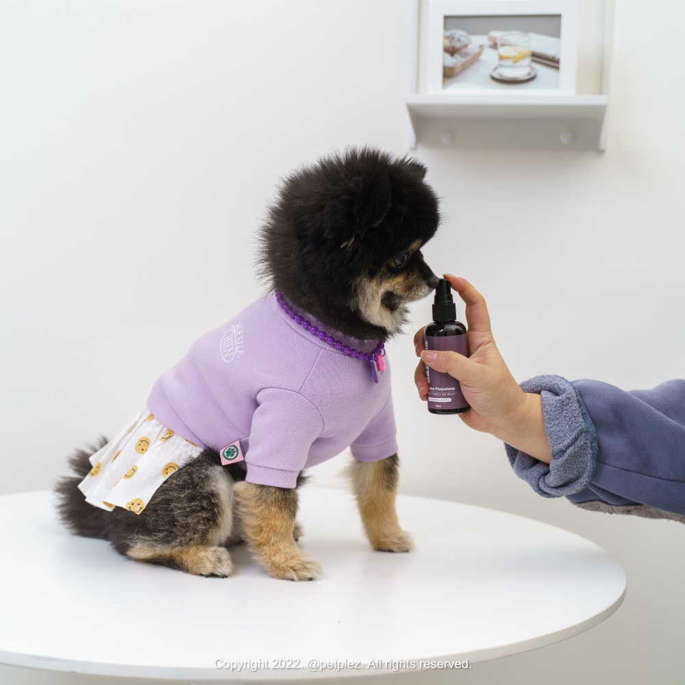 잠보아 강아지 뿌리는 치약 매일 쓰는 구강 스프레이 플라그리스