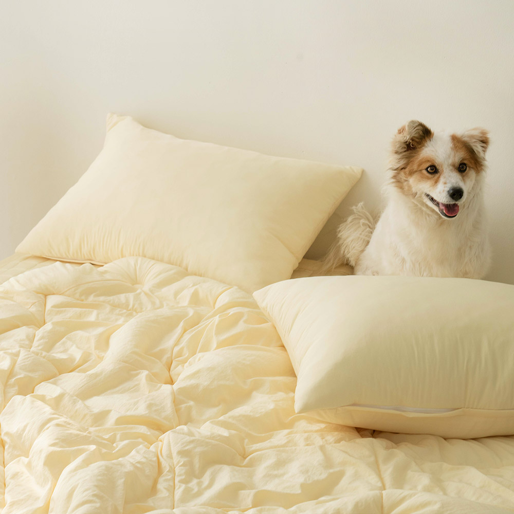 국내생산 프리미엄 사계절 먼지없는 알러지케어 기숙사 이불세트 SS (패드+이불+베게커버)