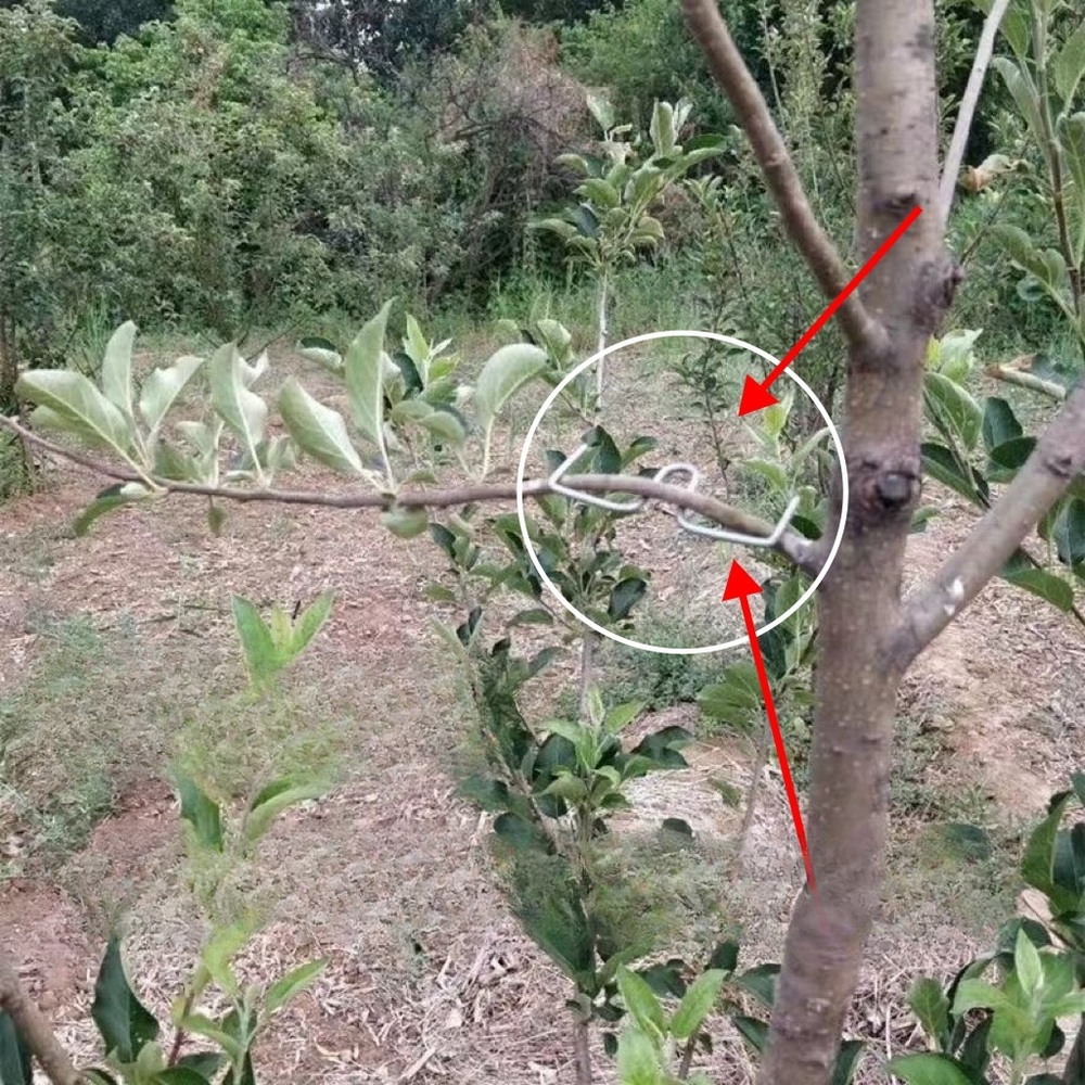 과일나무 고추대 클립 튼튼한 철사 원예용 지지 S자형 고정 집게 재사용 M10cm 50개 - 상품 이미지