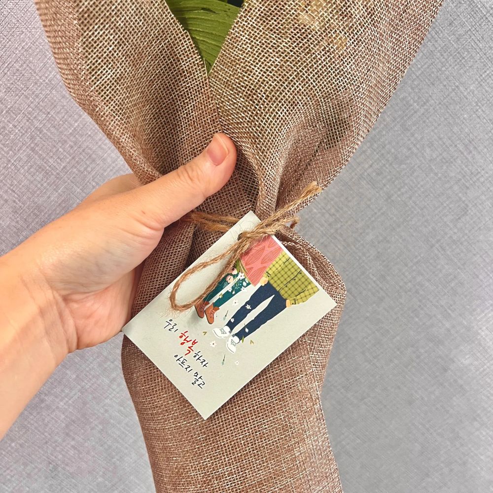 필러한다발 꽃다발 선물 생화 졸업 졸업식 발표회 축하 감사 예쁜꽃다발 고요히꽃