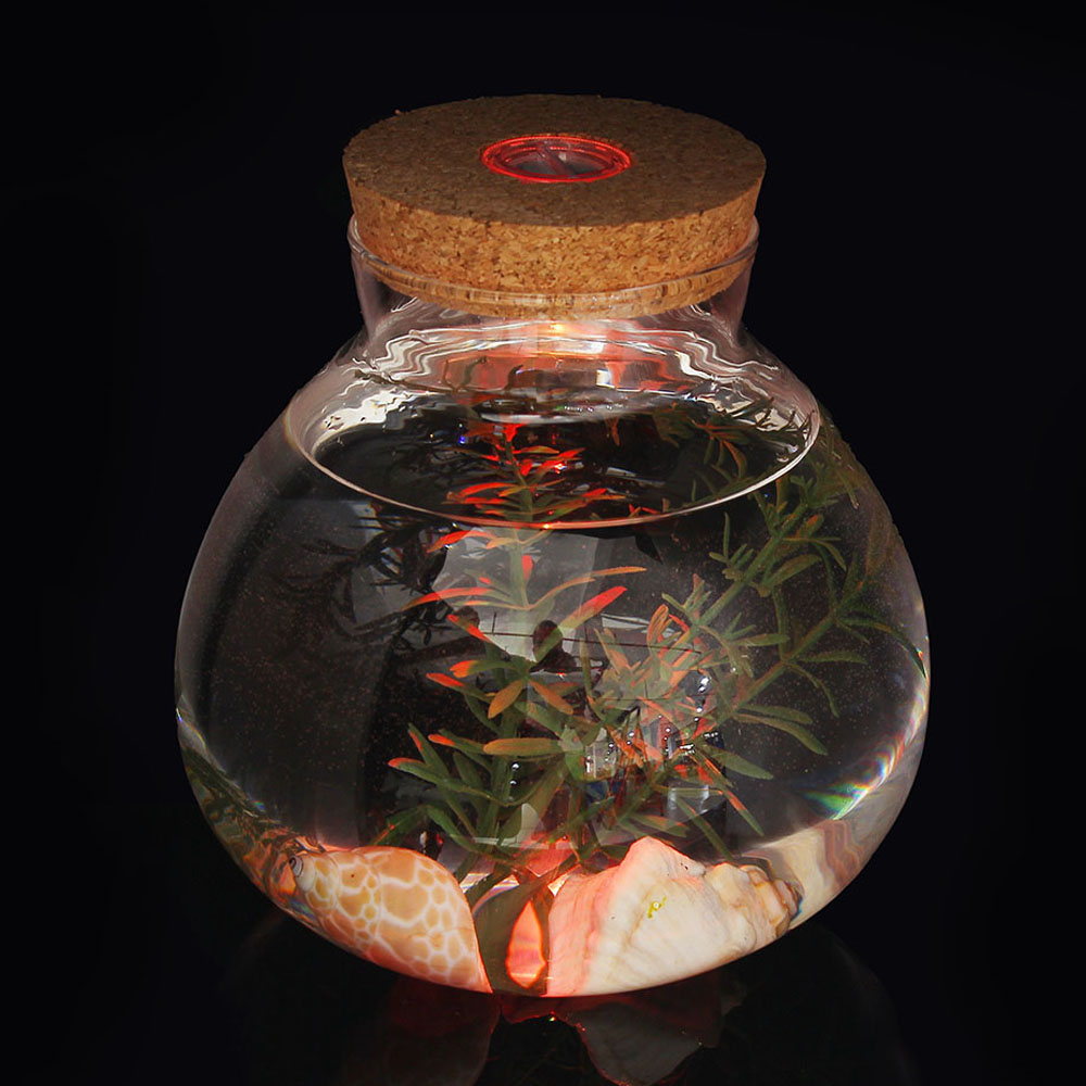 마리모 키우기 LED 코르크 유리병( 15x 16 cm) 모병 모키 모어항 수경 식물 - 상품 이미지