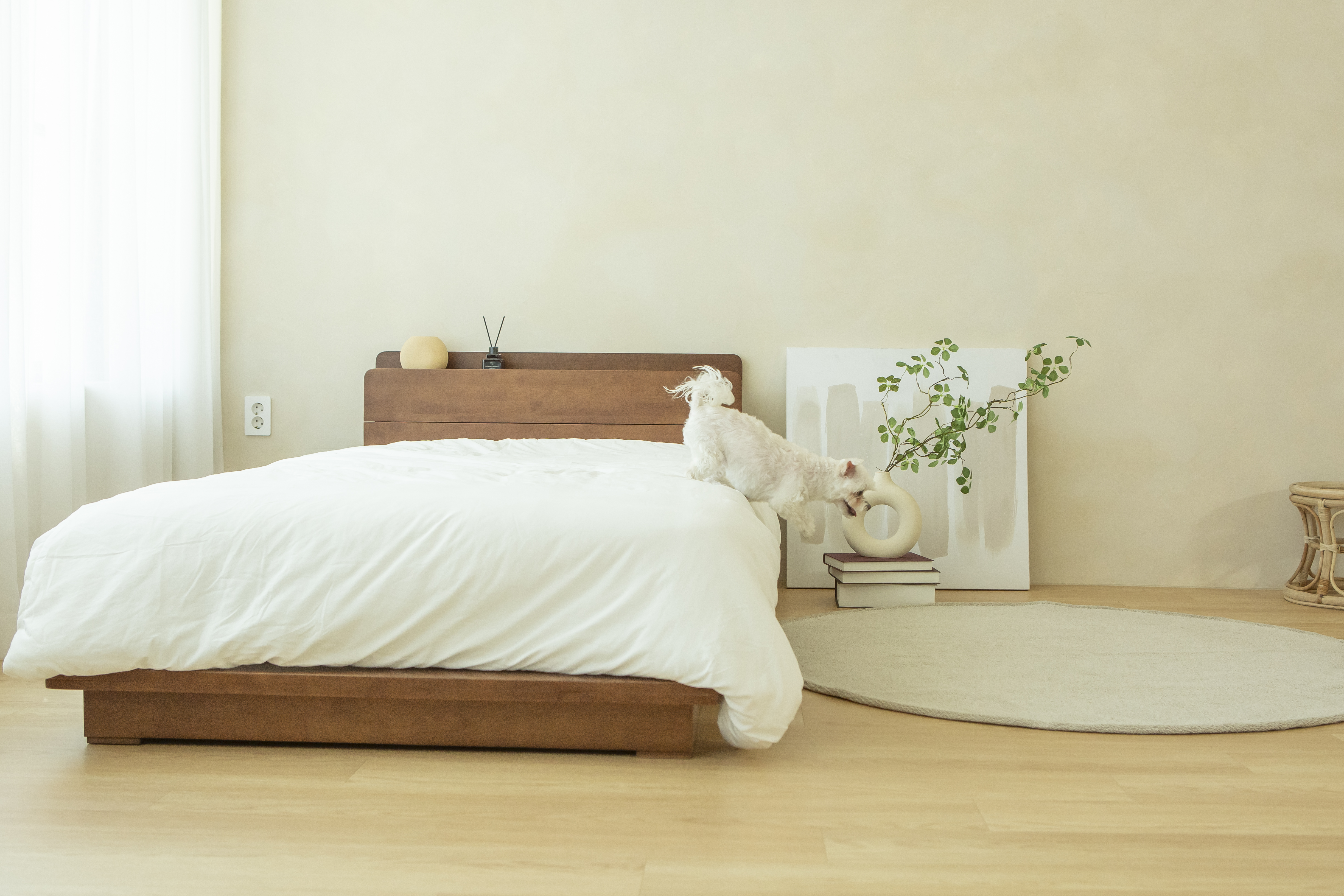 가구로움 임브레이스 고무나무 평상형 원목 침대 프레임 SS(슈퍼싱글) 월넛 / 네츄럴