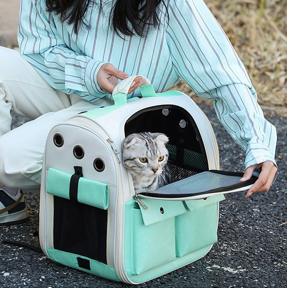 포에버펫 반려 동물 백팩 애견 이동 가방( 민트) 애견이동 강아지 펫외출 고양이