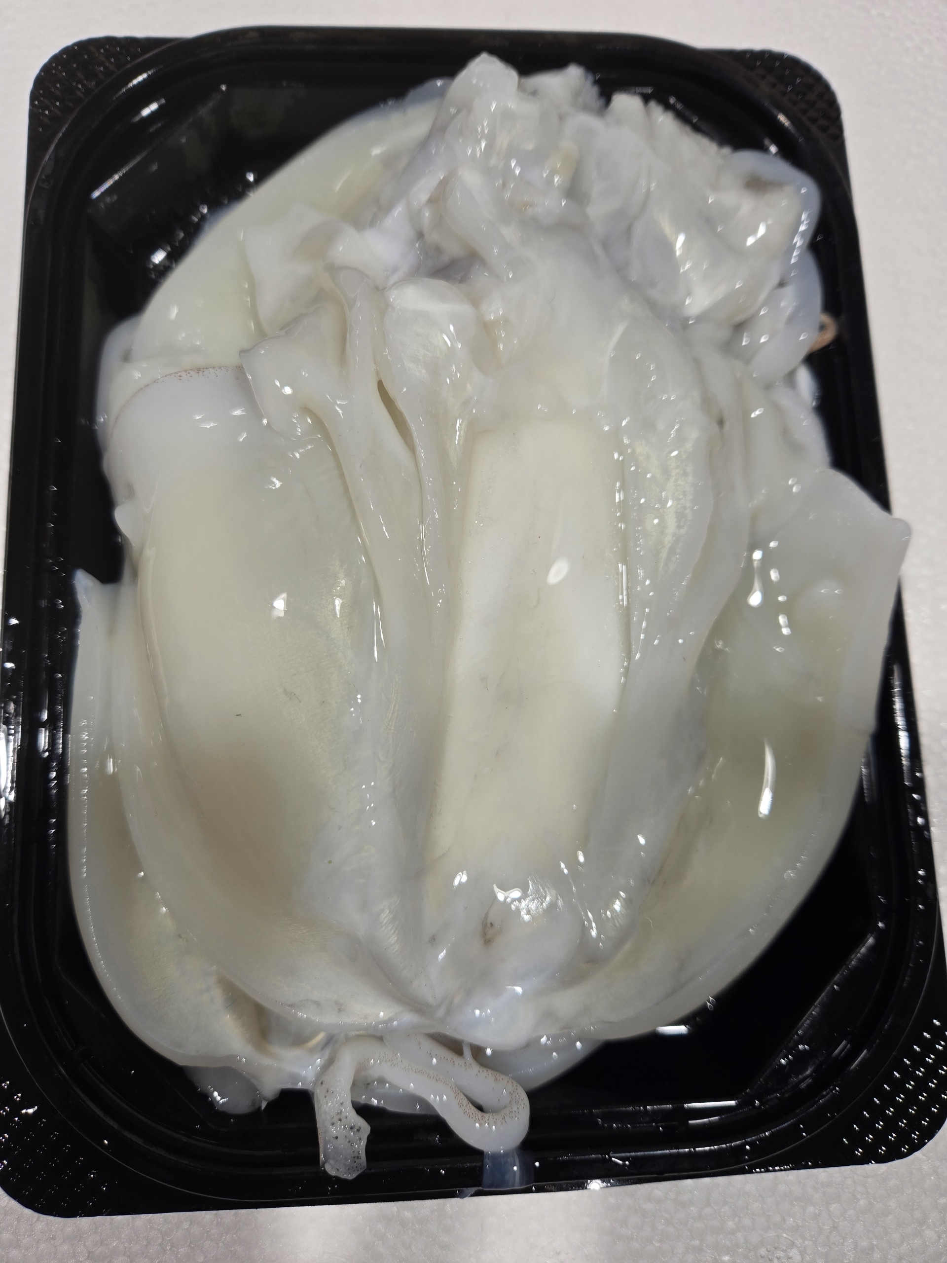 손질갑오징어 활복오징어 갑오징어시세 오징어숙회 구이 냉동 몸통 500g - 상세 이미지 2
