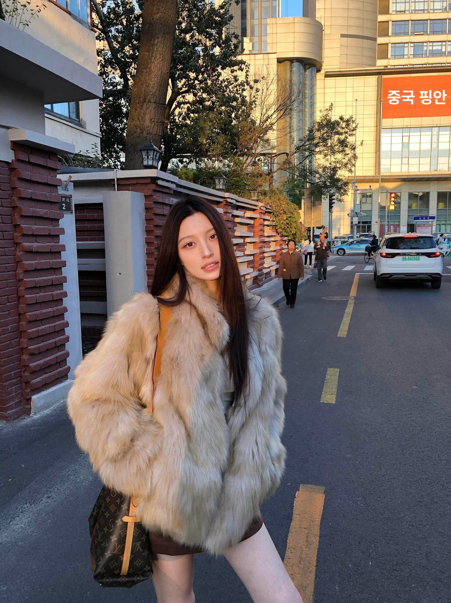 여성 겨울 페이크퍼 여우털 카라 코트 인조모피 자켓 서리 낀 스탠드카라 인조여우털 재킷 S - 상품 이미지