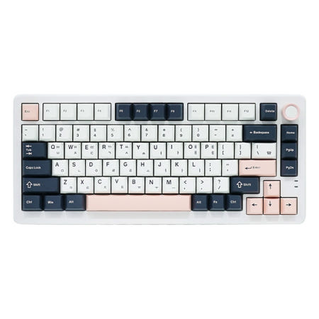 QSENN Q75 PBT 풀윤활 화이트 오테뮤 저소음 피치축V3