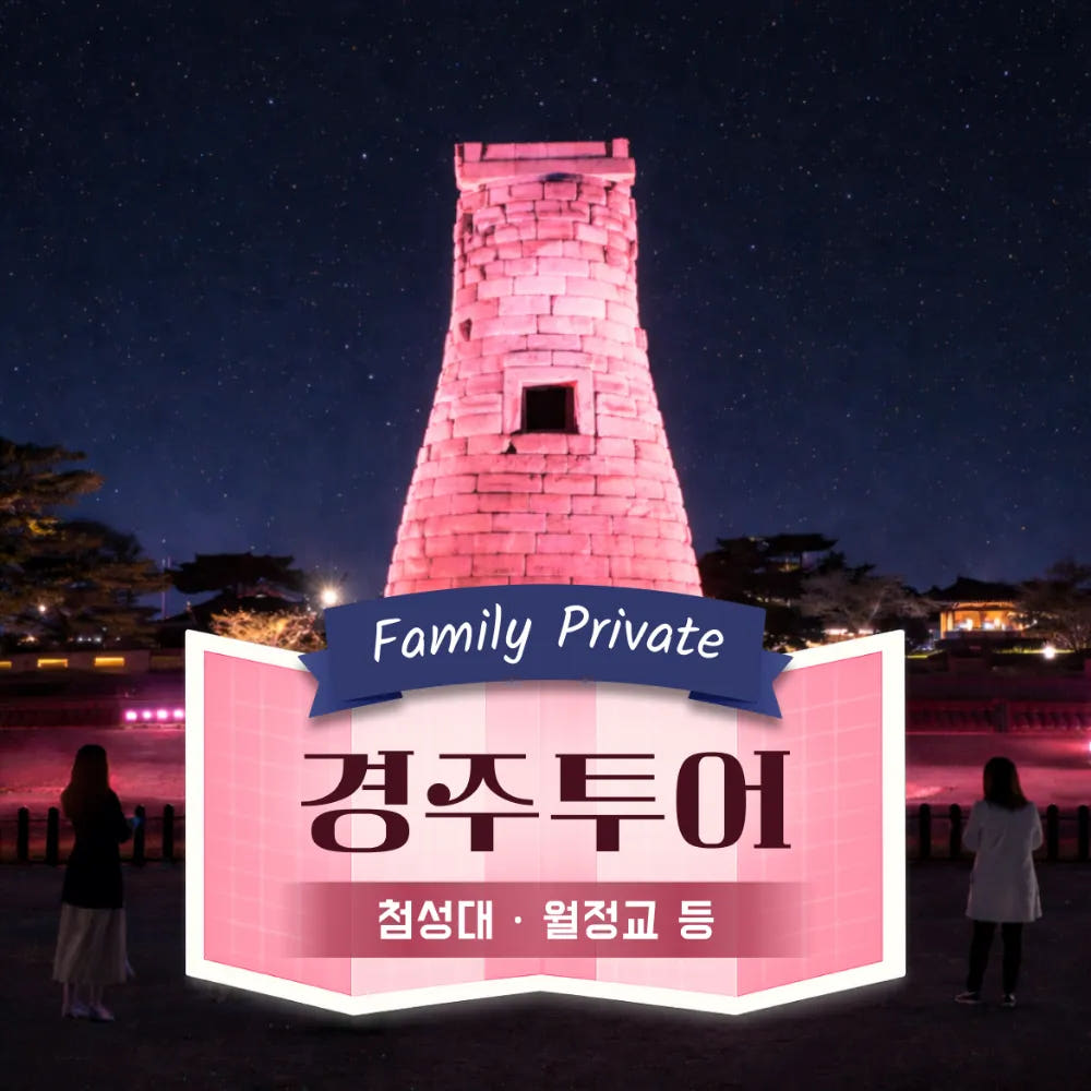 첨성대 동궁과월지 월정교 경주의 밤 가격 추이 아이고고 첨성대 동궁과월지 월정교 경주의 밤 - 최저가 43,000원