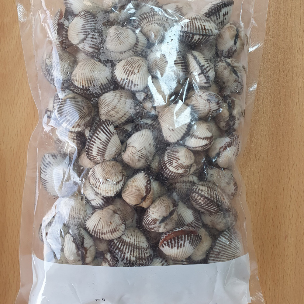 벌교 새꼬막 생물 산지직송 제철 꼬막 산지직송 조업 발송 1kg 이미지 7
