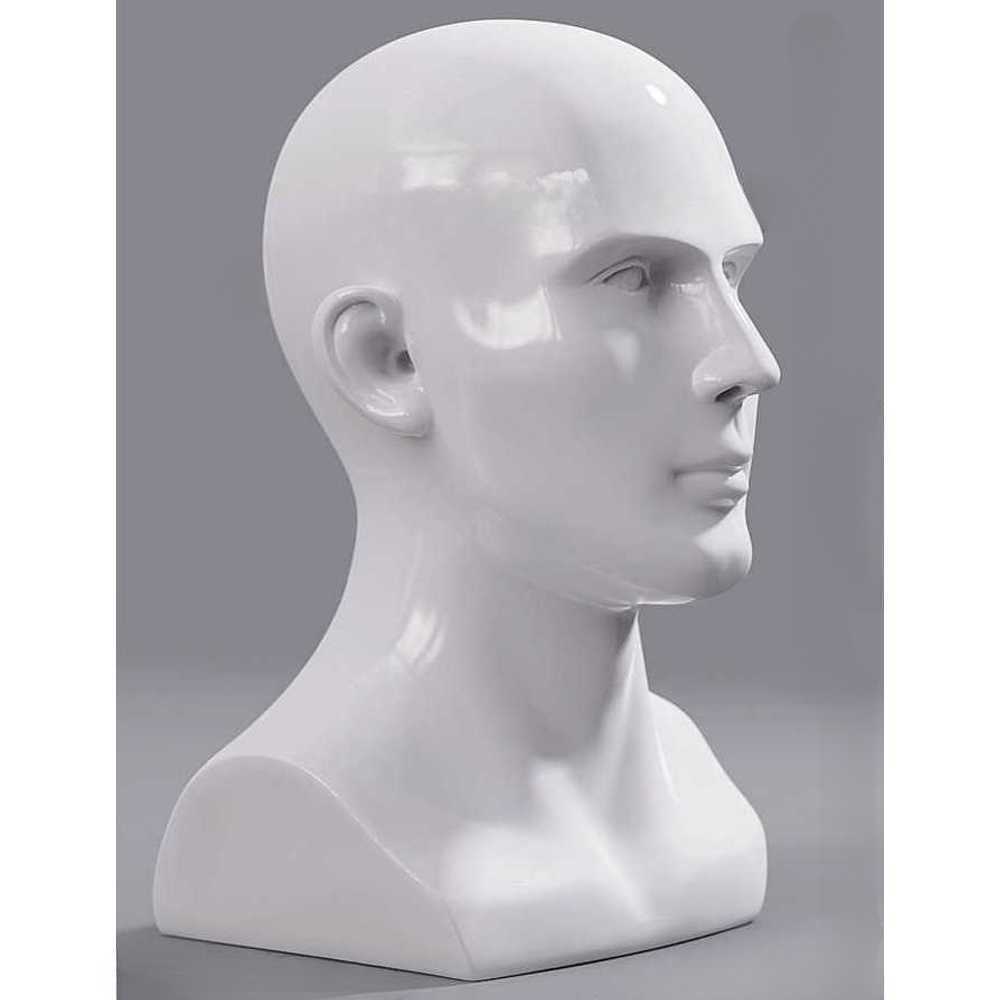 얼굴 모형 헤드 사람 마네킹 가발 촬영 디스플레이 남성 2종-56.5cm-유광 화이트 - 상품 이미지