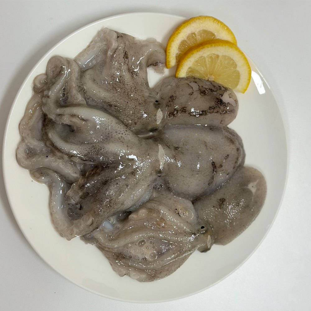 당일조업 발송 서해안 생물 활 쭈꾸미 1kg 제철 쭈꾸미 (12미·15미) 이미지 7