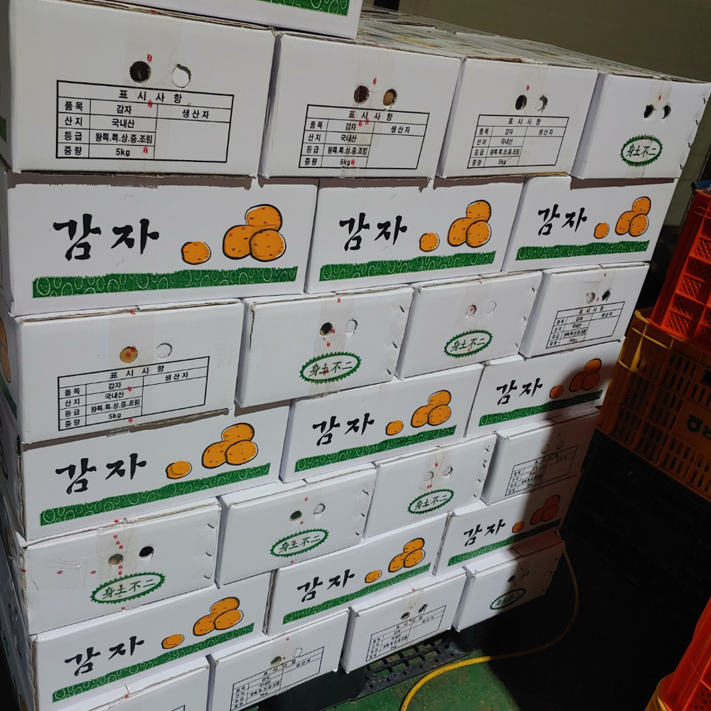 국내산 유기농 수미감자 제철 포슬포슬 감자 1kg 혼합 - 상세 이미지 4