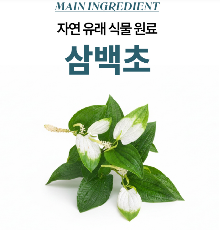 국산 삼백초 추출물 복합물 맥스 맥문동 60정 - 상세 이미지 4