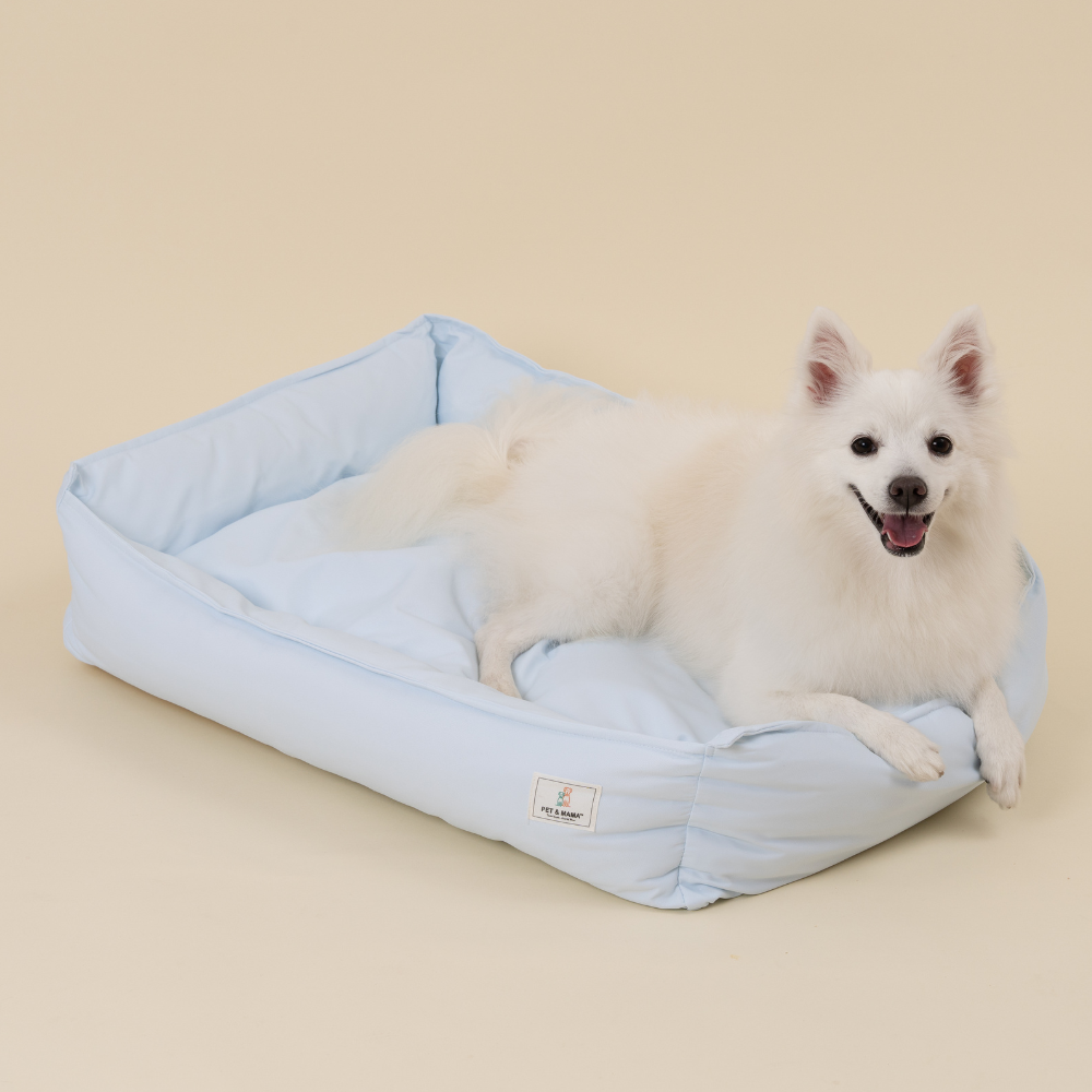 펫앤마마 강아지 마약 방석 파스텔 겨울 애견 사각 꿀잠 방석 M