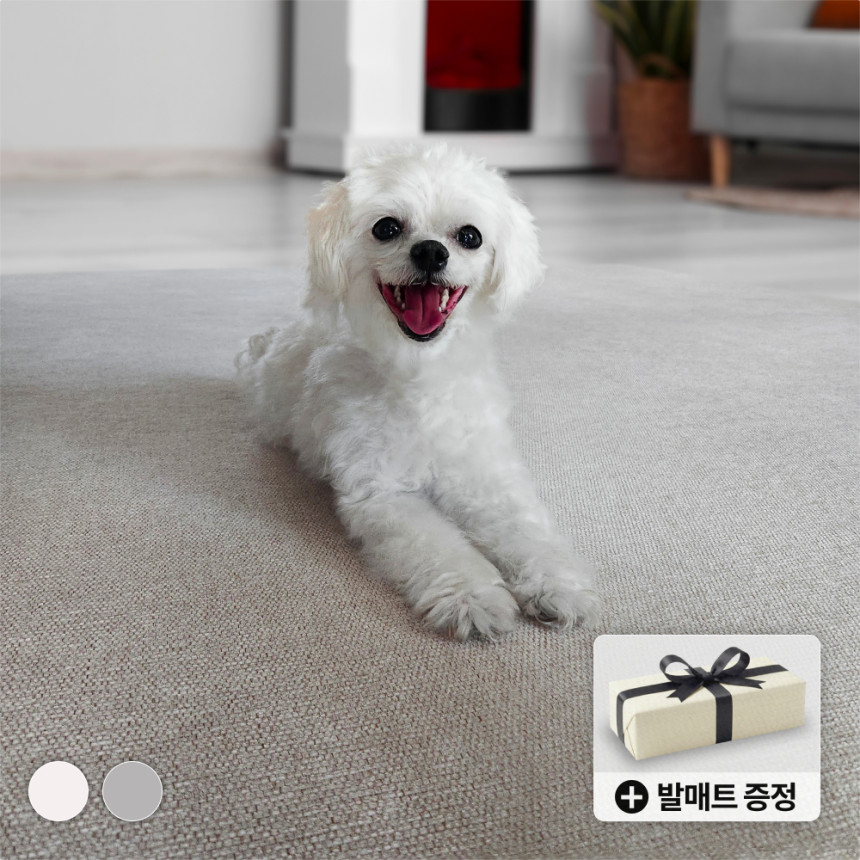 Subtitles Settings Subtitles Off English (Auto-translated) 한국어 (Auto-generated) 日本語 (Auto-translated)