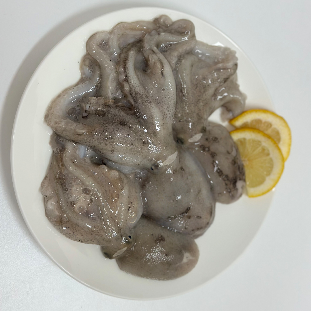 당일조업 발송 서해안 생물 활 쭈꾸미 1kg 제철 쭈꾸미 (12미·15미) 이미지 8
