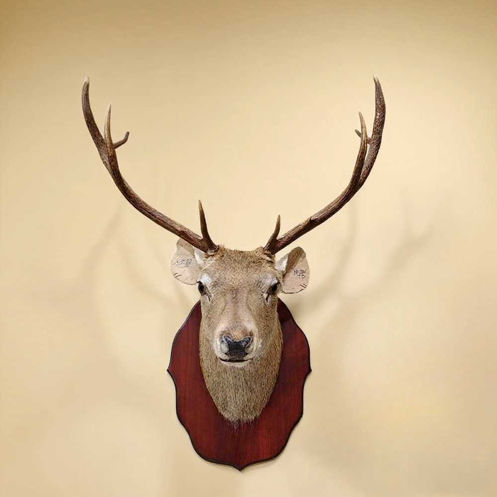산장 사슴 장식 인테리어 소품 노르딕 현관 실내 펜션 A형 63x76cm - 상품 이미지