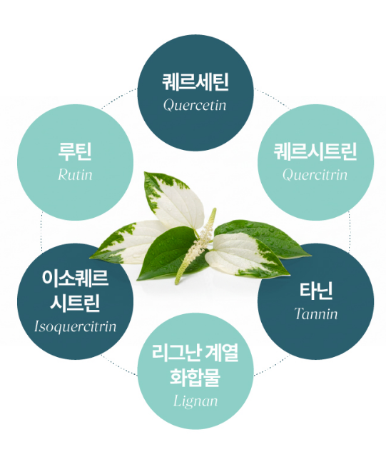 국산 삼백초 추출물 복합물 맥스 맥문동 60정 - 상세 이미지 5