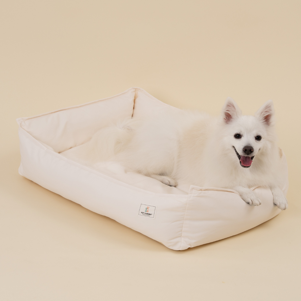 펫앤마마 강아지 마약 방석 파스텔 겨울 애견 사각 꿀잠 방석 M