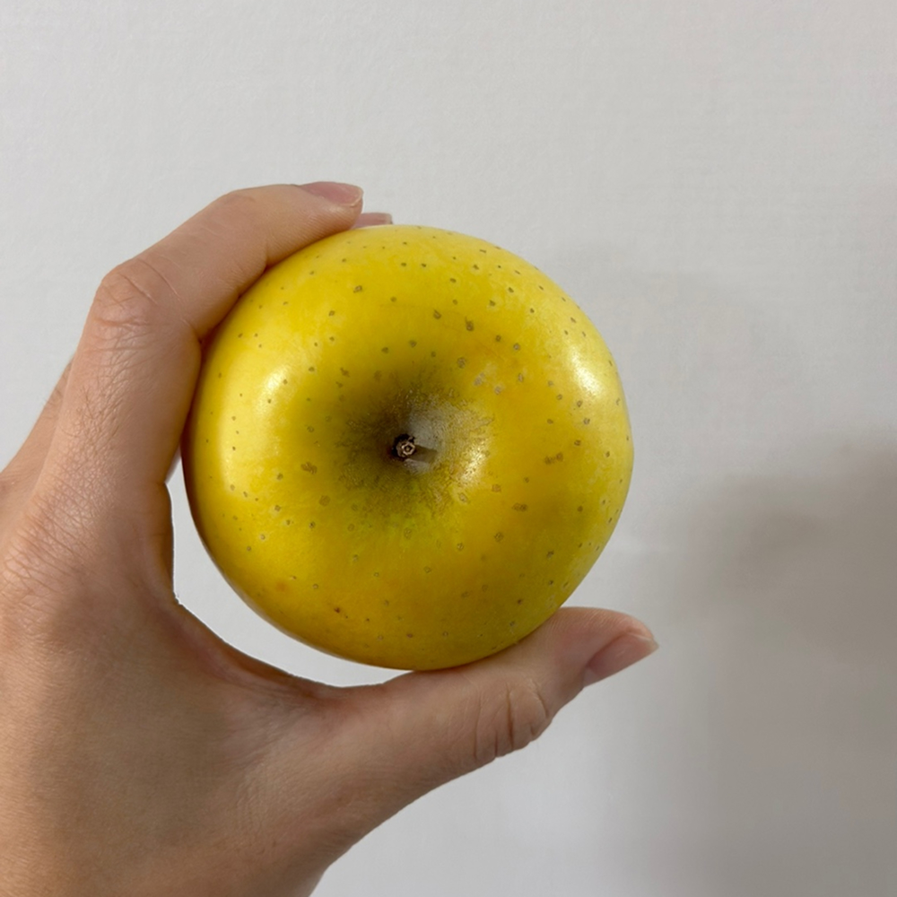 [금서율네] 시나노골드 사과 황금사과 5kg 10kg - 상세 이미지 2