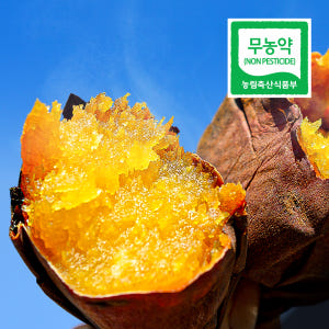 해남 꿀고구마 베니하루카 무농약 세척 햇고구마 맛있게 먹은 솔직 후기 - 상품 이미지 1