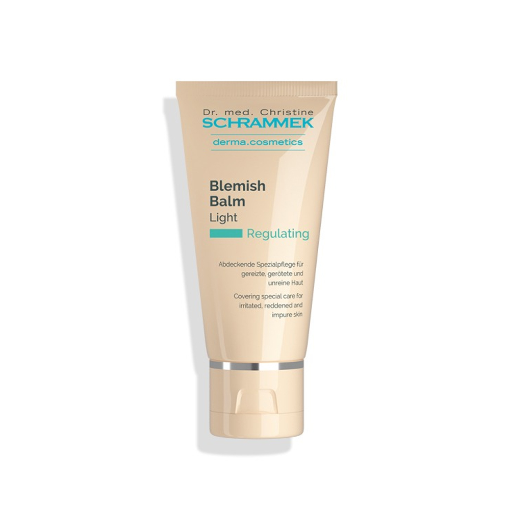 닥터슈라멕 블레미쉬 밤 40ml+전용 브러쉬 공구 원조비비 필링후케어 피부진정크림 - 상품 이미지