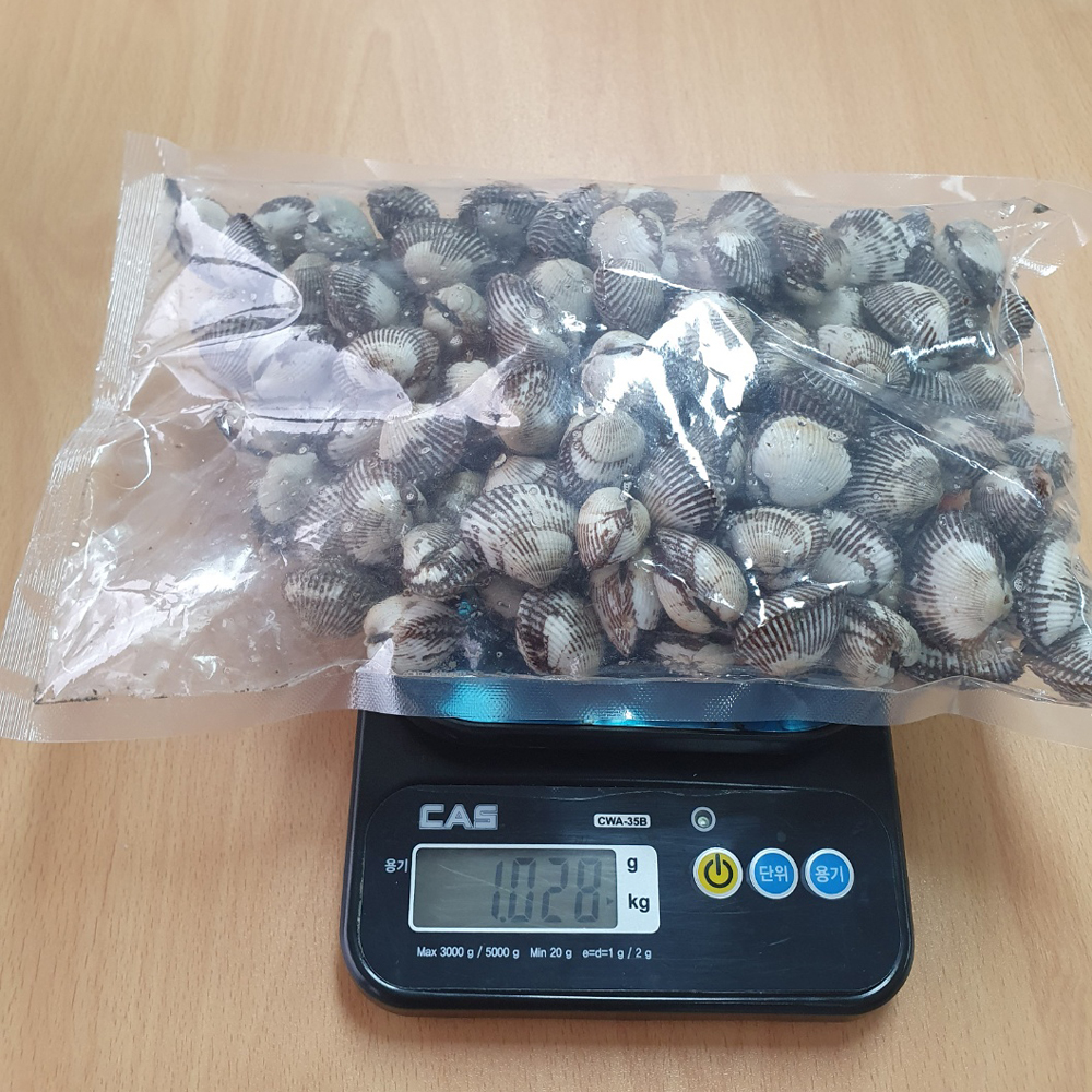 벌교 새꼬막 생물 산지직송 제철 꼬막 산지직송 조업 발송 1kg - 상세 이미지 4
