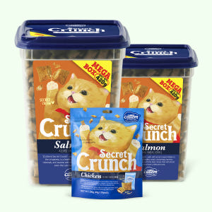 캣템 시크릿크런치 고양이과자 비스켓 연어 420g 2개+치킨 200g 솔직 후기 | 실제 사용자 리뷰 총정리 - 상품 이미지 2