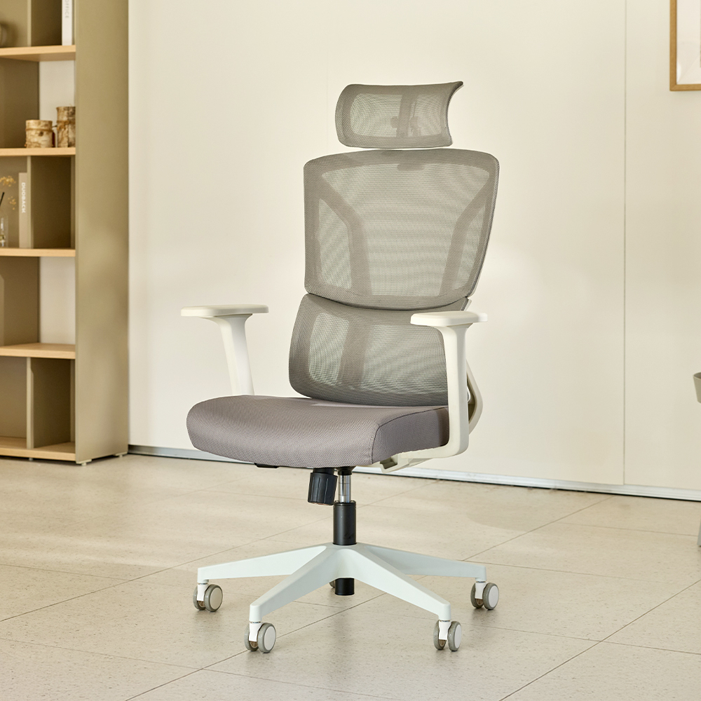 [슈퍼적립][N배송]듀오백 T-ZERO-W 메쉬 컴퓨터 책상 재택근무 사무 의자 승진선물 제품 이미지