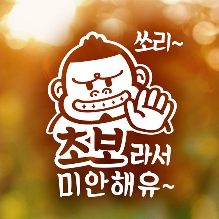 초보라서미안해유 쏘리 반사시트지 자동차스티커 - 상품 이미지