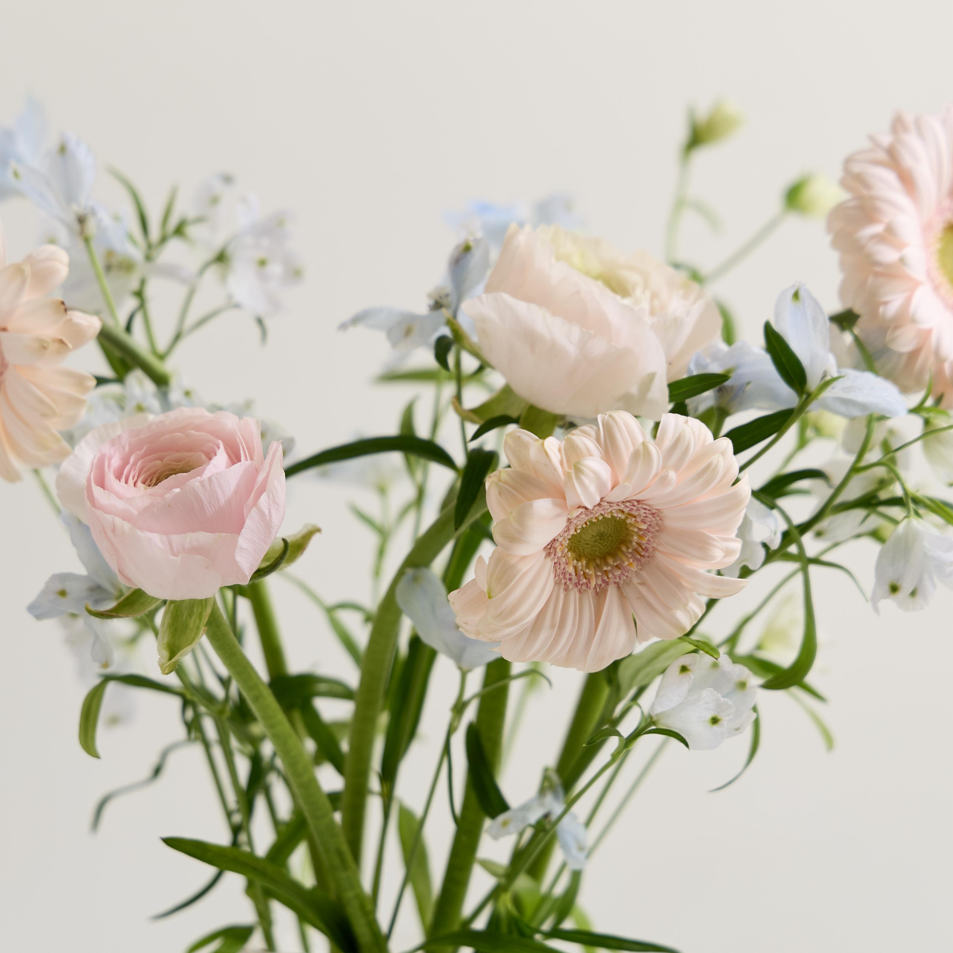 [플로픽] 파스텔 세실리아 믹스 (S/L/꽃다발) 생화꽃다발 제철꽃믹스 졸업식꽃다발 생일선물 꽃시장 꽃정기구독 온라인 꽃배송 셀프돌상 촬영