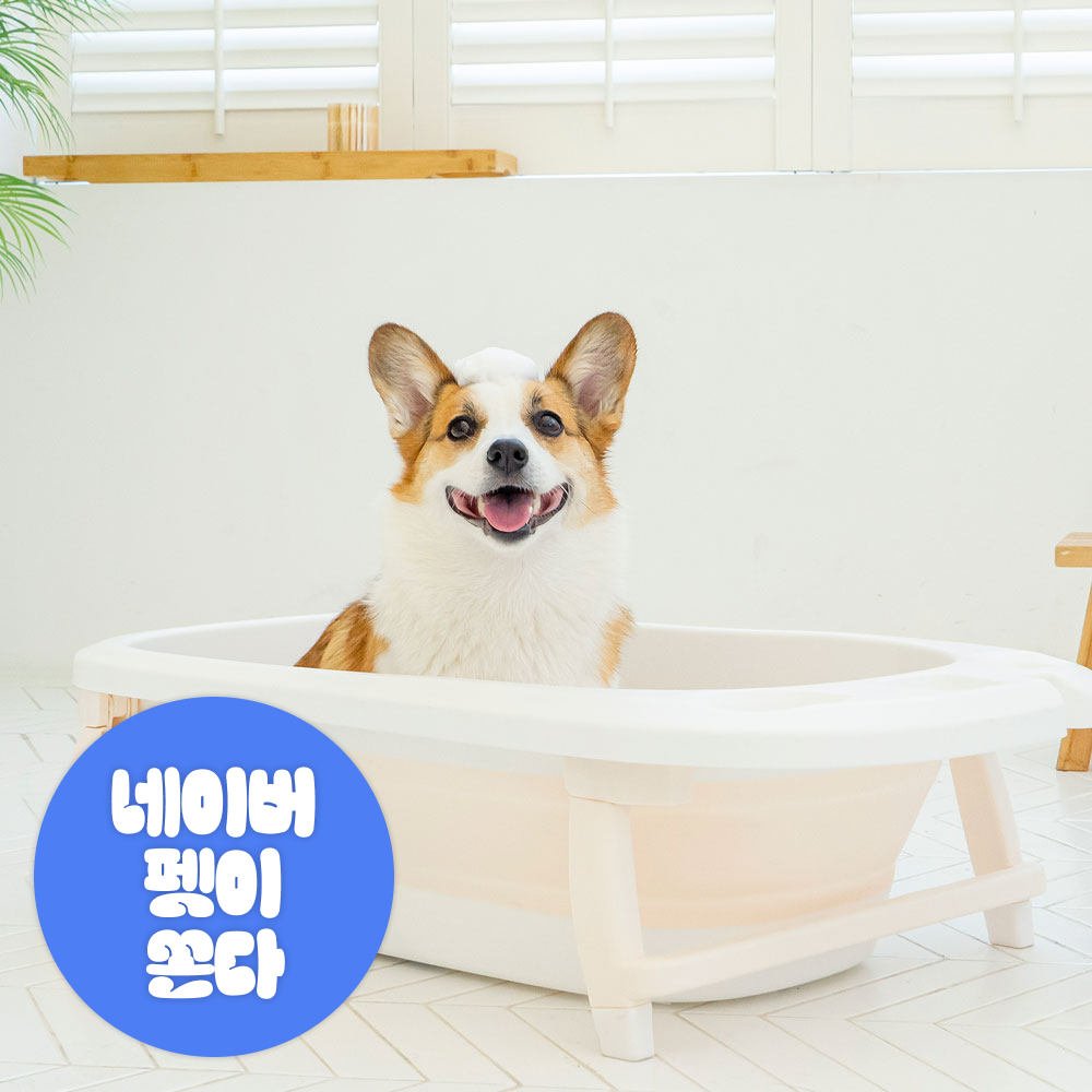 펫트리움 강아지 고양이 접이식 욕조 베이지 애견 목욕