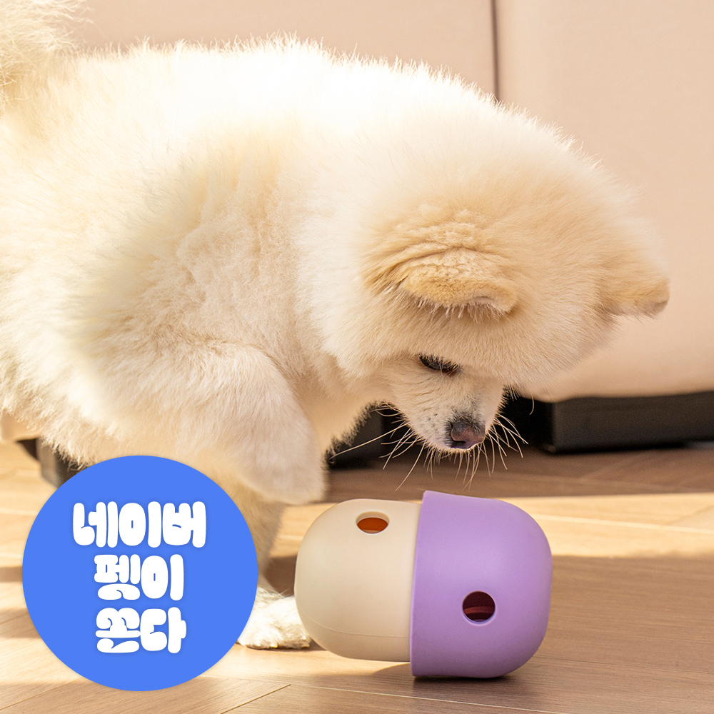 펫트리움 킁카 머쉬볼 노즈워크 장난감 분리불안