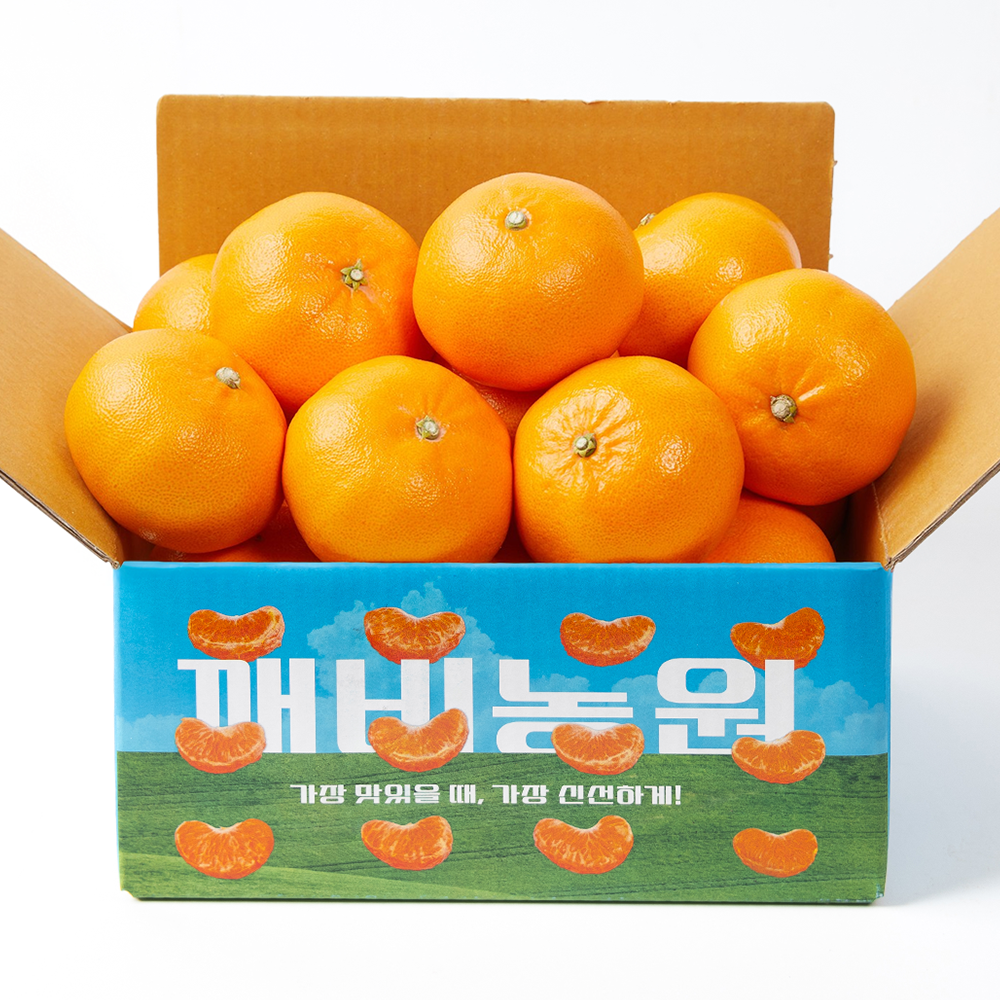 깨비농원 고당도 제주 천혜향 2.5kg - 상품 이미지