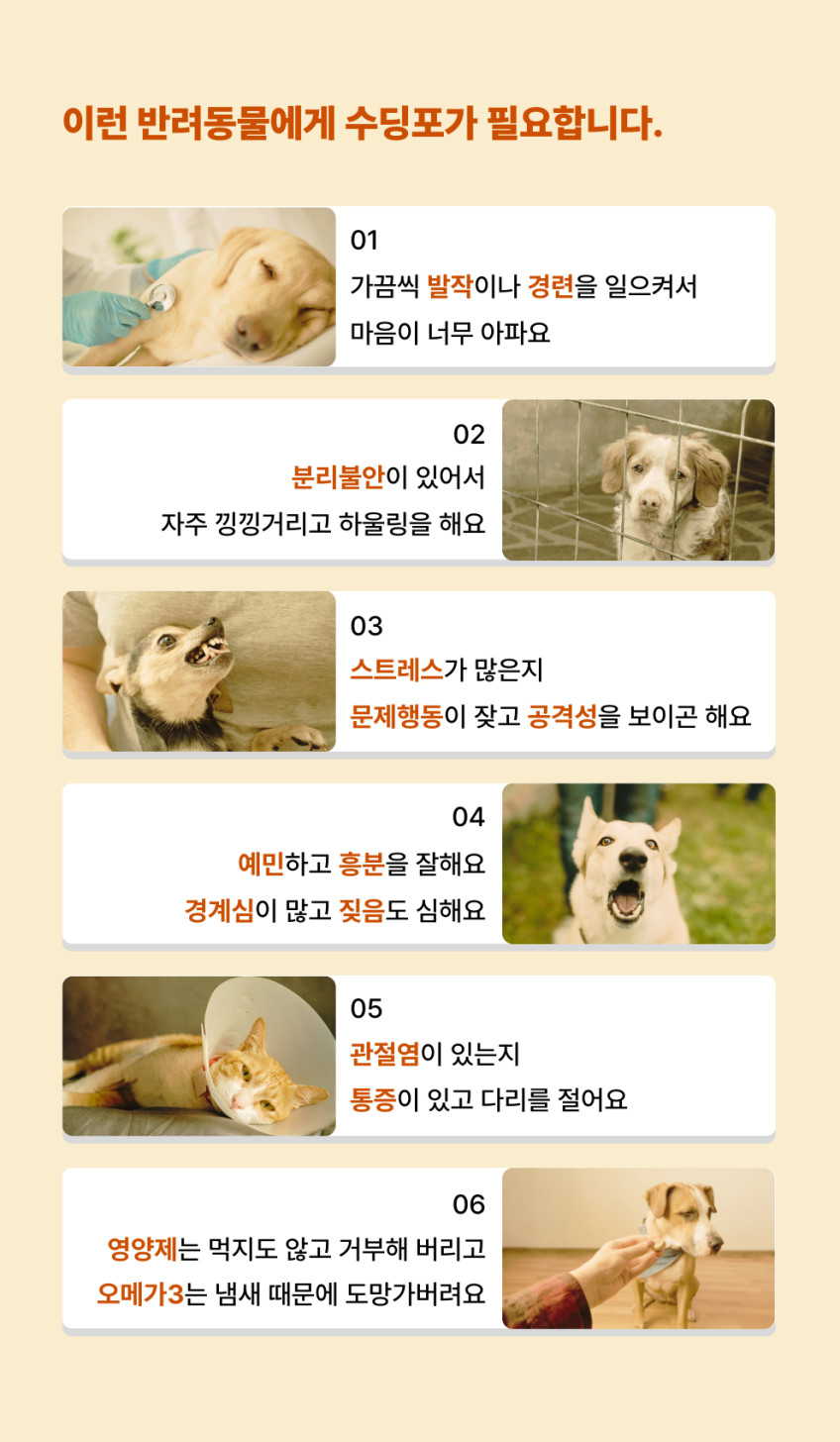 수딩포 1% 독일산 CBD 햄프씨드 오일 강아지 고양이 발작 경련 치매 영양제 판매처 상세 정보 이미지 2