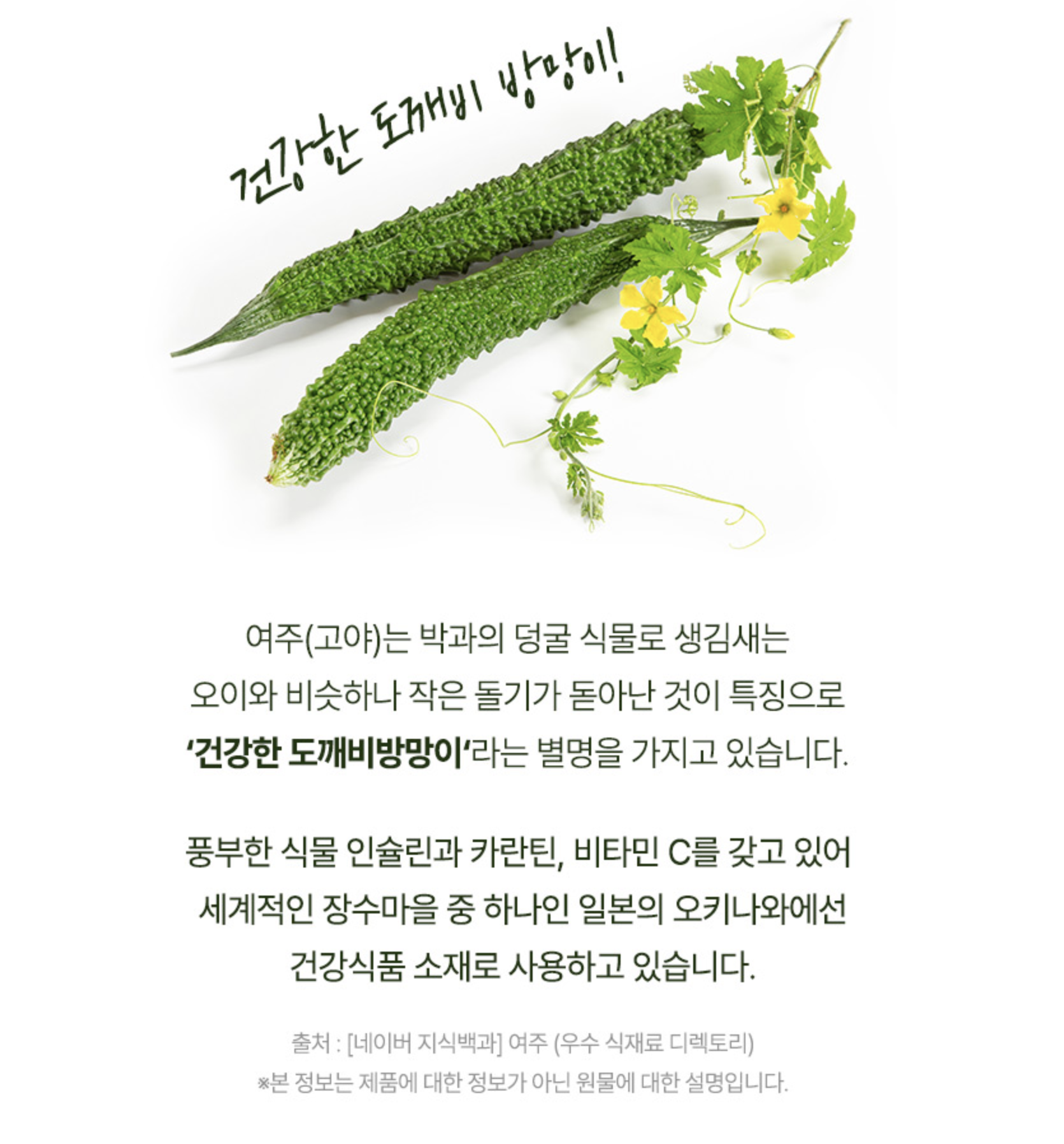 국내산 여주 분말 2kg 국산여주가루 당뇨 - 상세 이미지 5