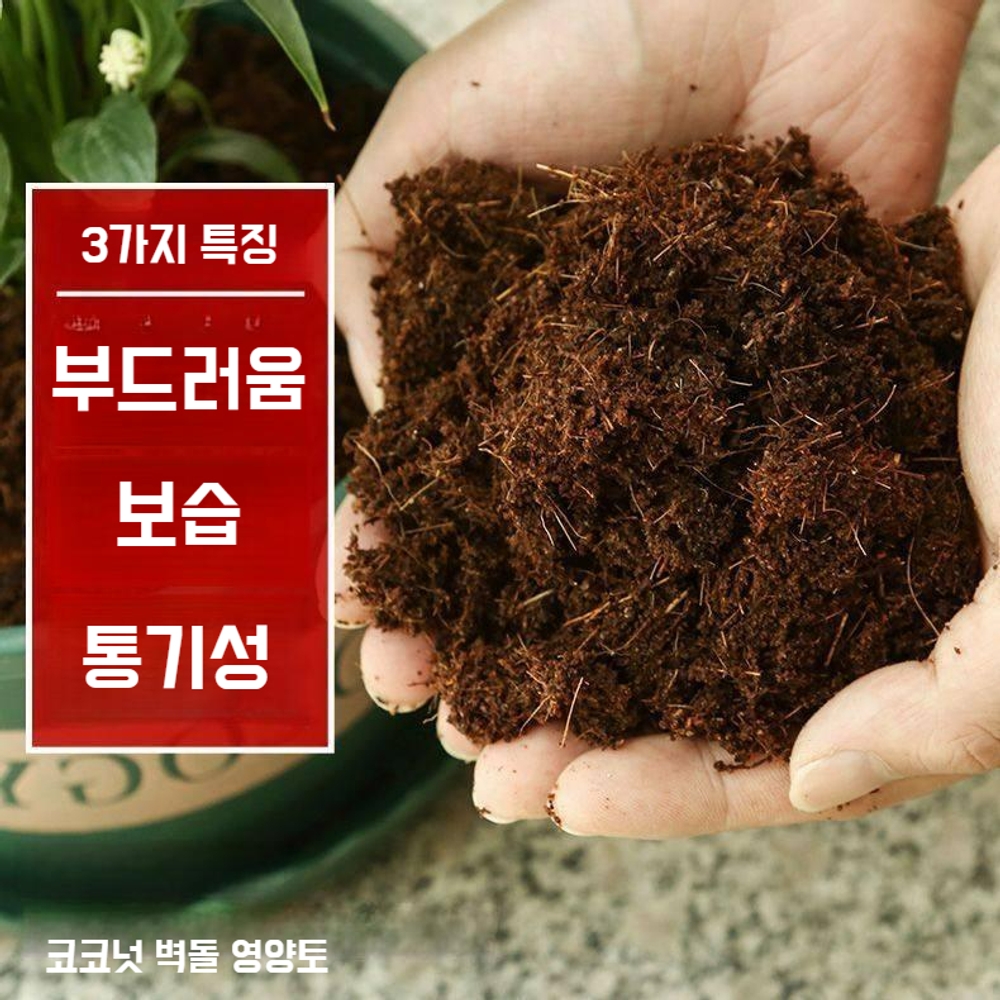 코코피트 블럭 코코넛 코코피드 식집사 분갈이흙 압축흙 코코핏 배양토 - 상세 이미지 3