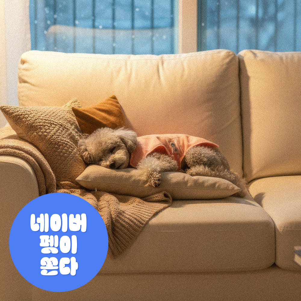 하웃 강아지 실내복 조끼 해충방지옷 에코가드 나시티