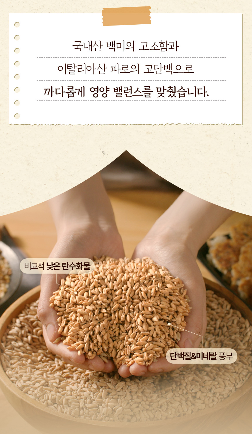 TV홈쇼핑 당당한 단백질 파로 누룽지 40g 50봉/아침식사 간편식 누릉지 캠핑 낚시 집 - 상세 이미지 4